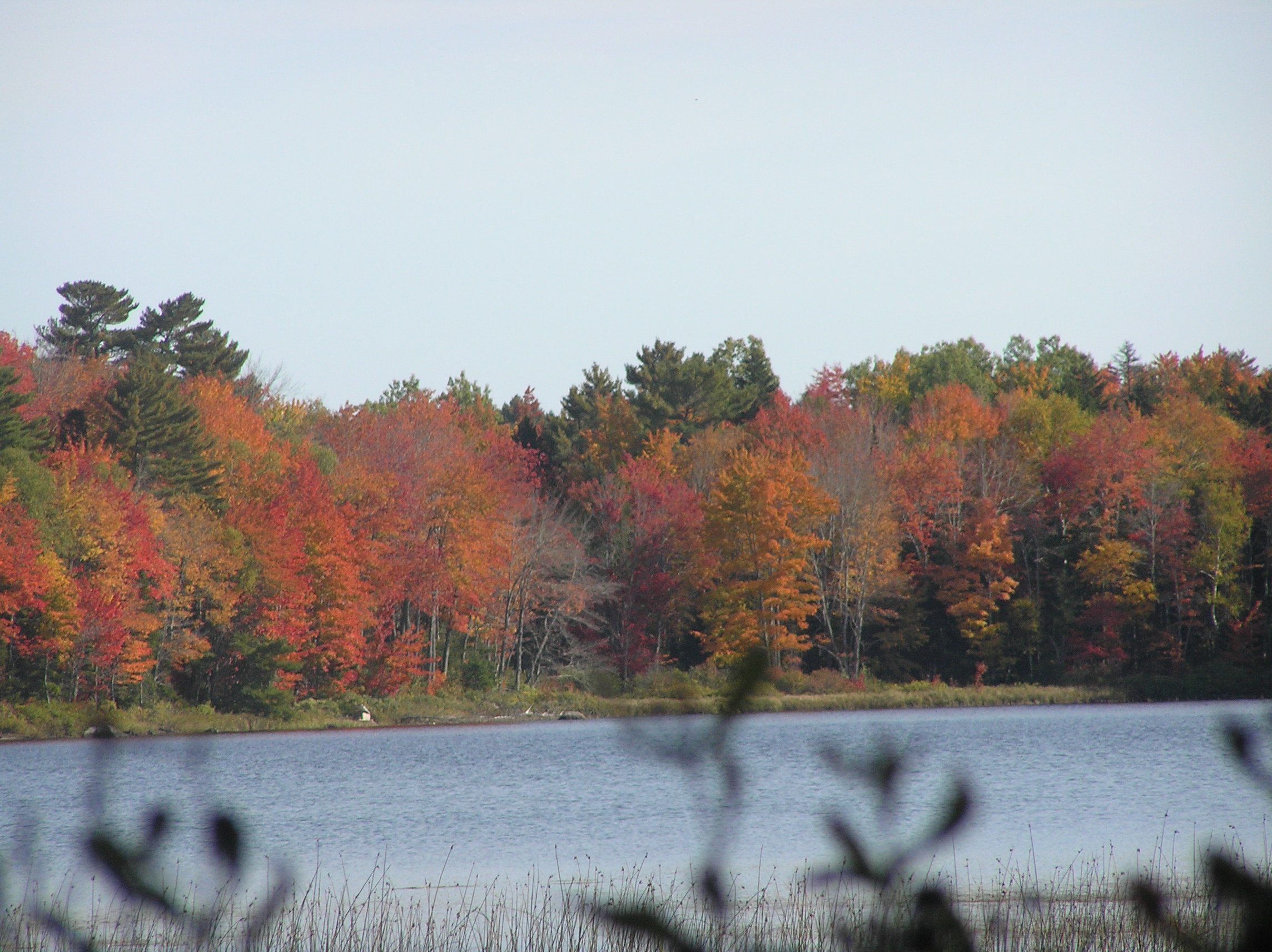 Fall colors