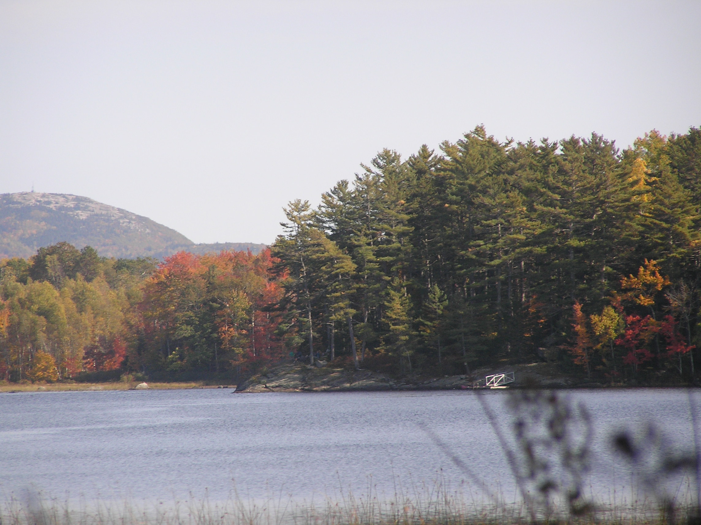 Fall at Bluff Point