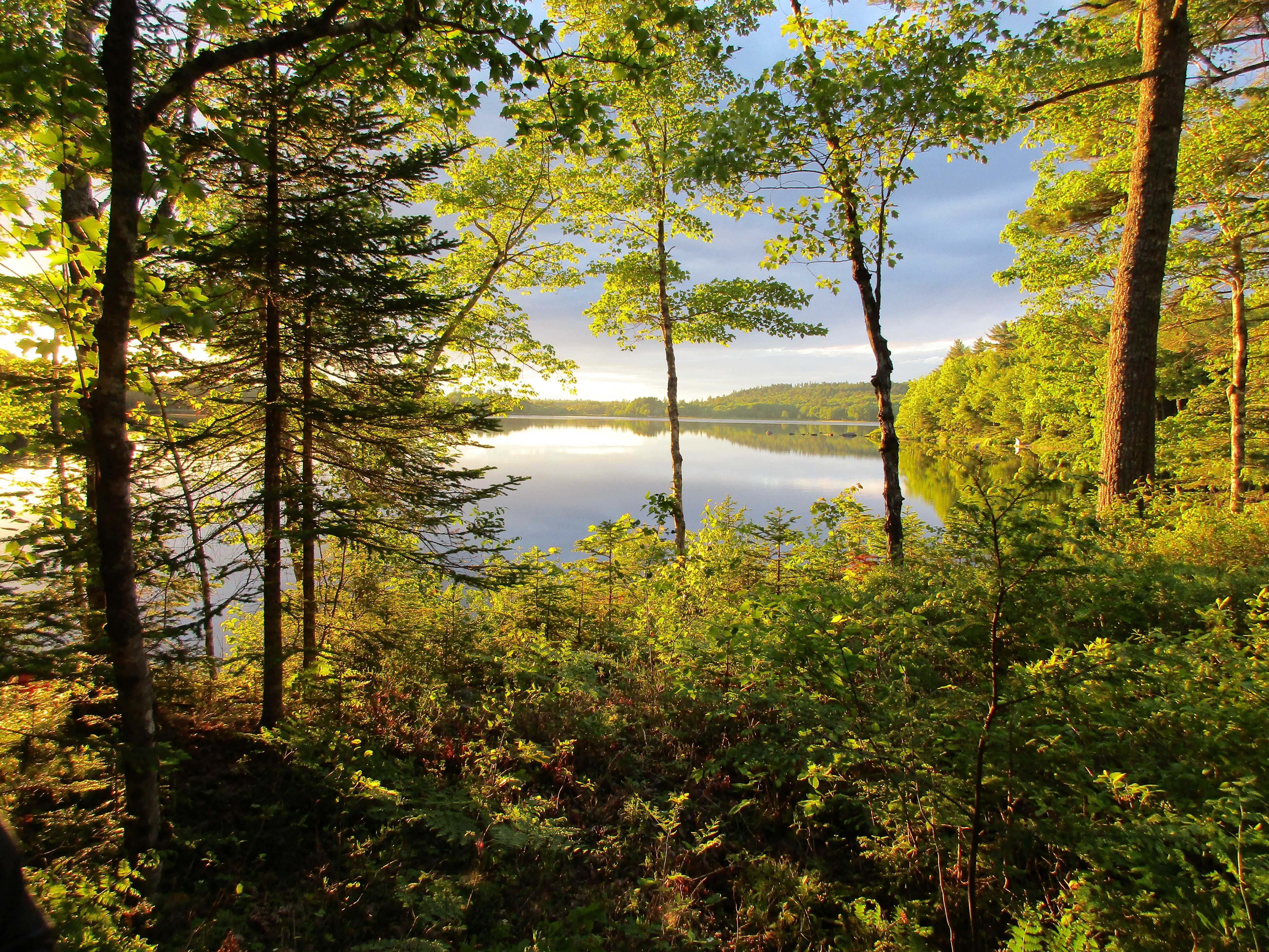 Late Summer Day
