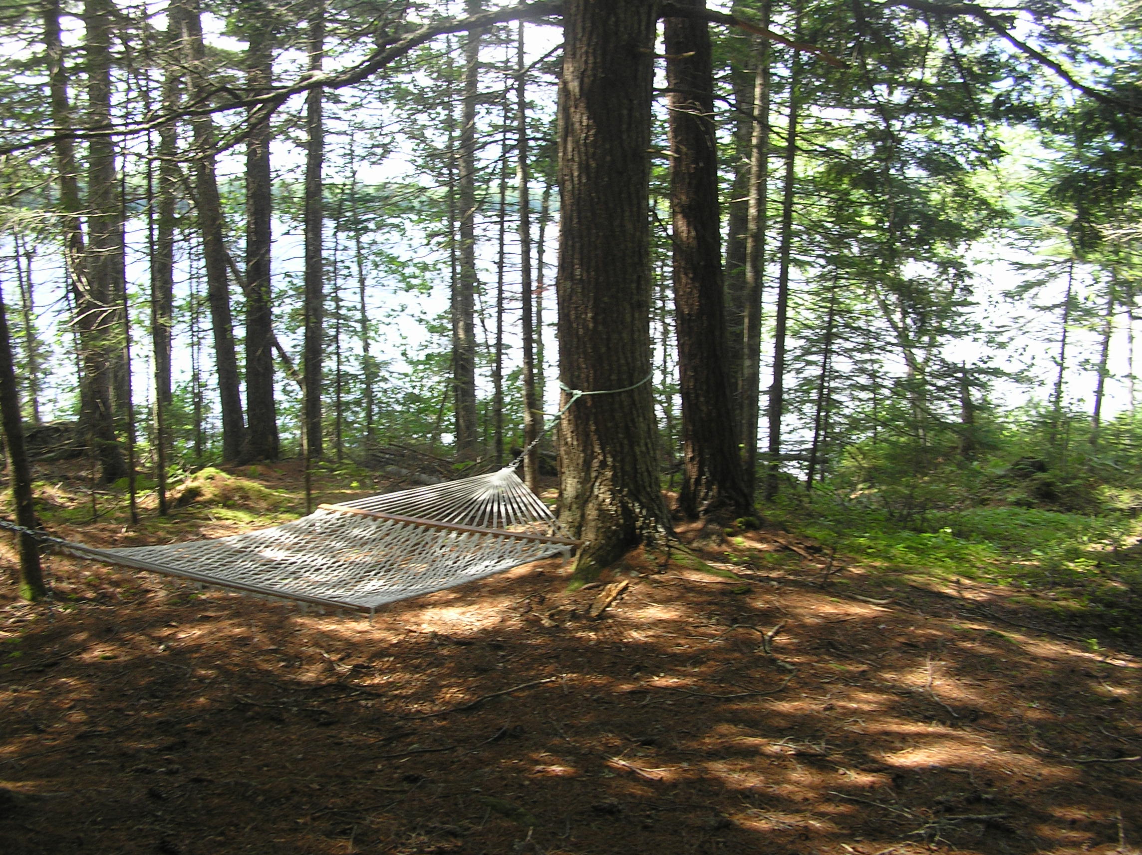 Log Cabin Hammock