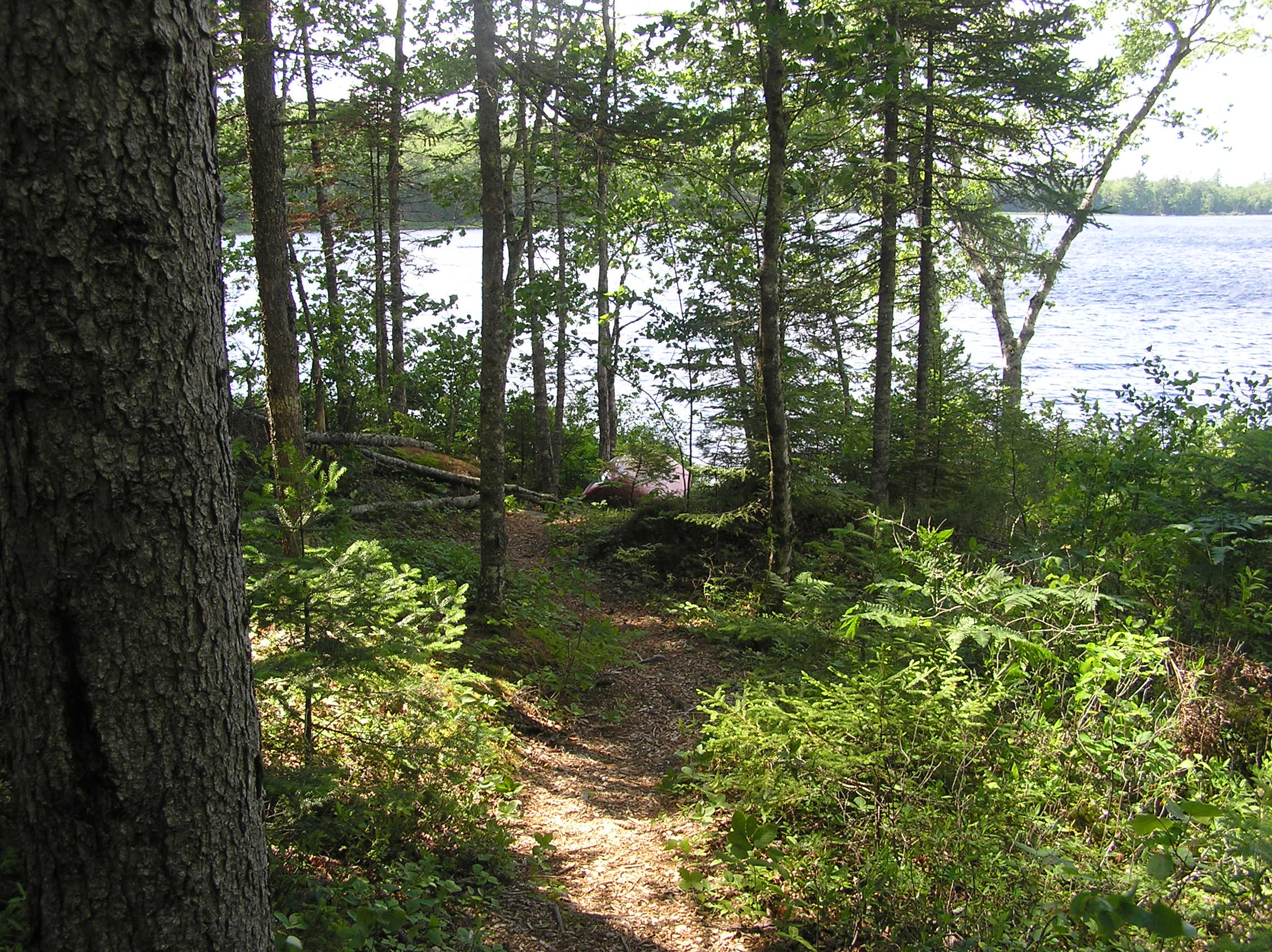 Log Cabin View