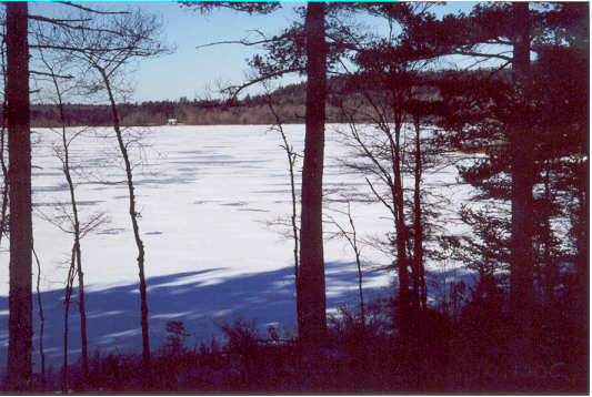 Winter from Log Cabin